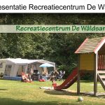 Video Waldsang